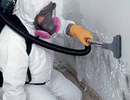 Why you should choose our mold remedi tion services in #city